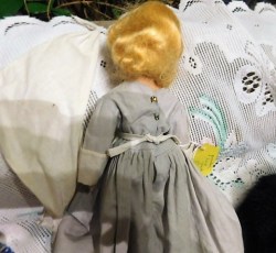 puritan 11 in back